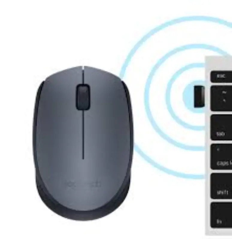 Souris Logitech M170 Grey-K souris Ambidextre RF sans fil Optique 1000 DPI (910-004642) – Image 2
